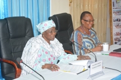 hcrrun-atelier-contribution-osc-11-2016-awa-nana-claudine-ahianyo