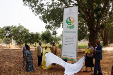 Article illustration: Presentation of the logo and strategic plan