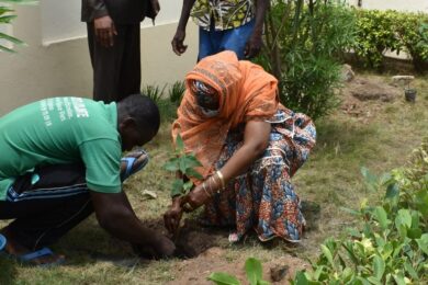 HCRRUN tree planting June 1, 2021